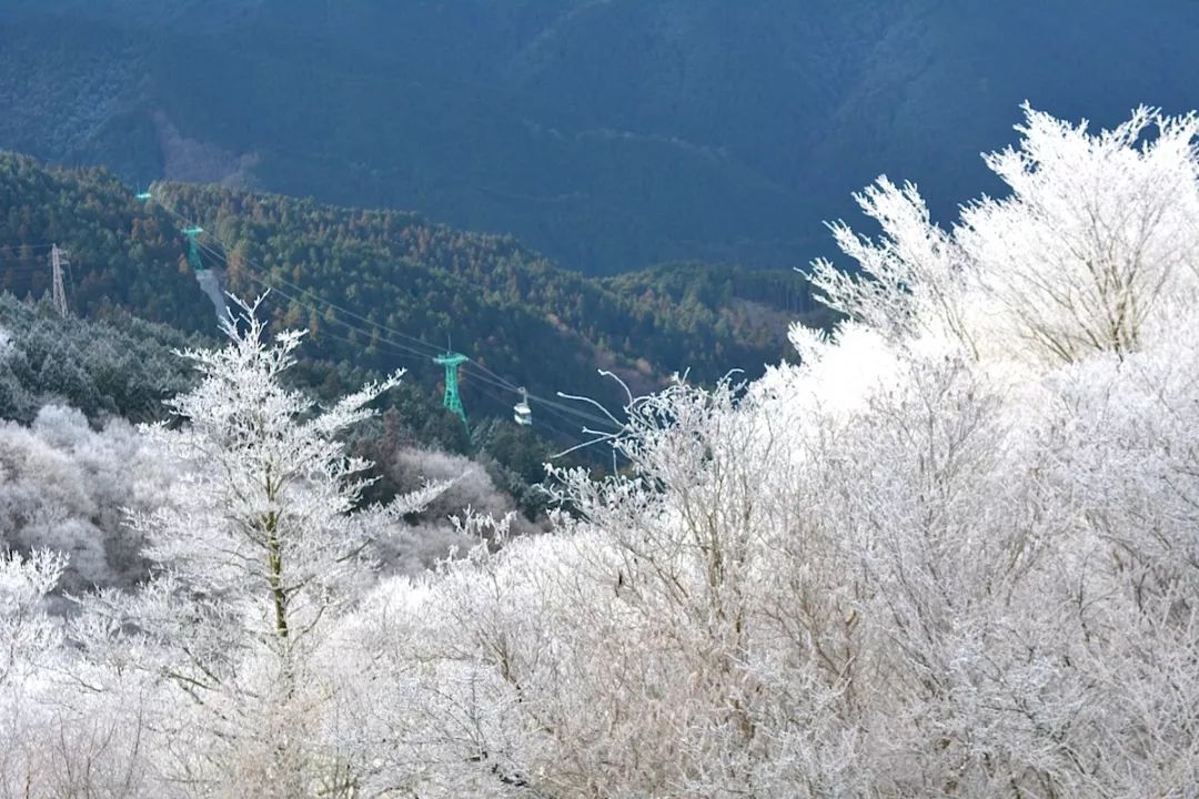 日本冬天最浪漫的絕色雪鄉，一下雪畫風就美翻了！ 旅遊 第31張