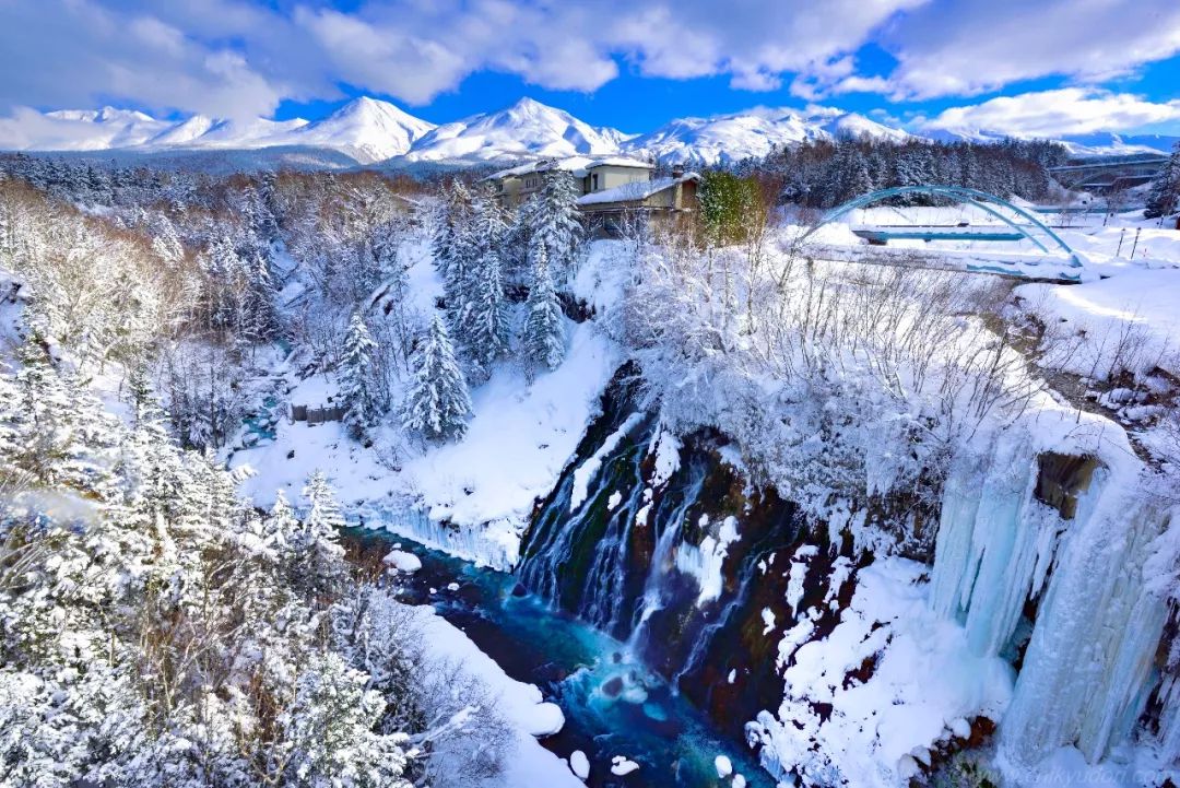 日本冬天最浪漫的絕色雪鄉，一下雪畫風就美翻了！ 旅遊 第22張