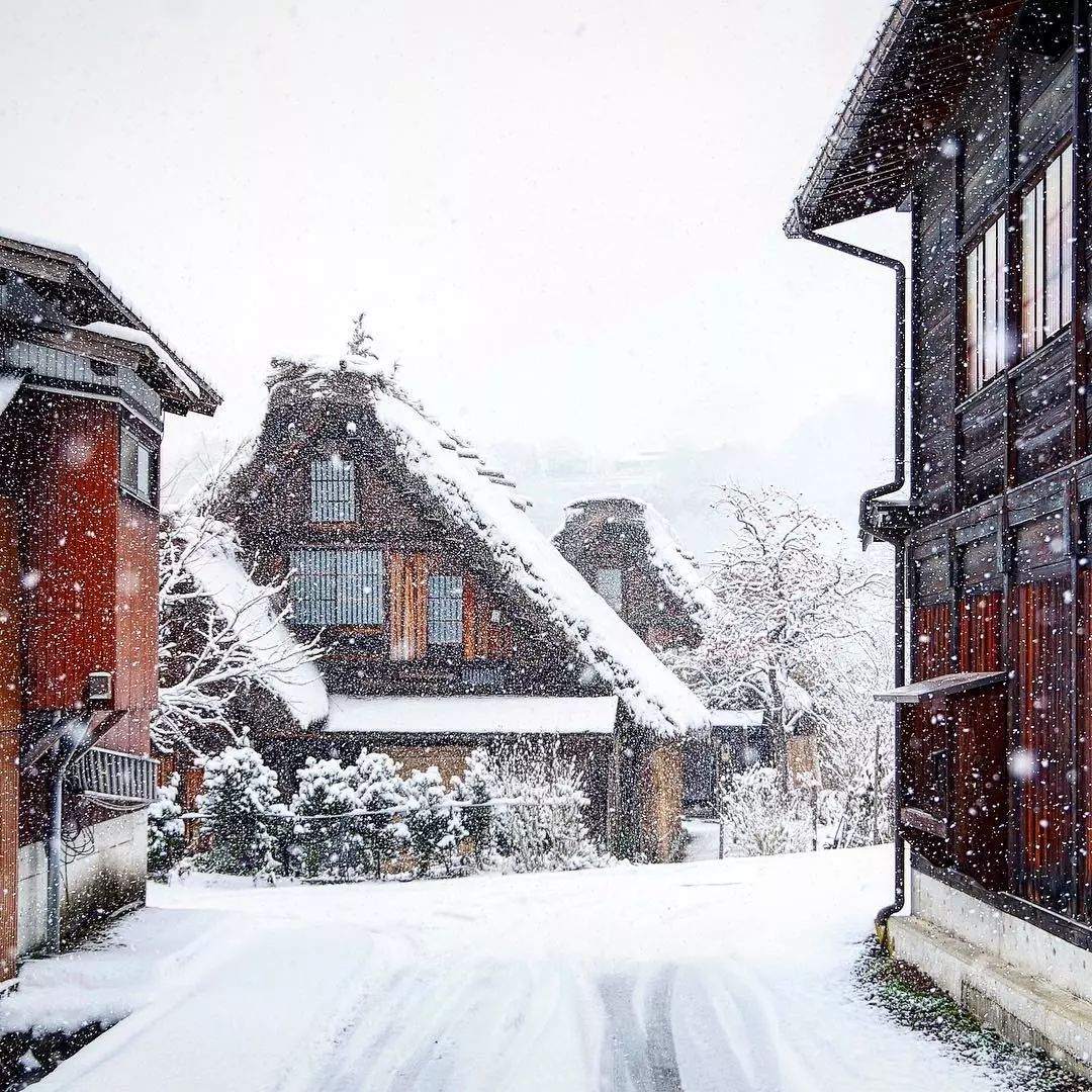 日本冬天最浪漫的絕色雪鄉，一下雪畫風就美翻了！ 未分類 第26張