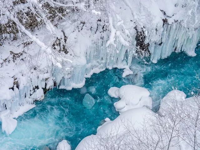 日本冬天最浪漫的絕色雪鄉，一下雪畫風就美翻了！ 旅遊 第23張