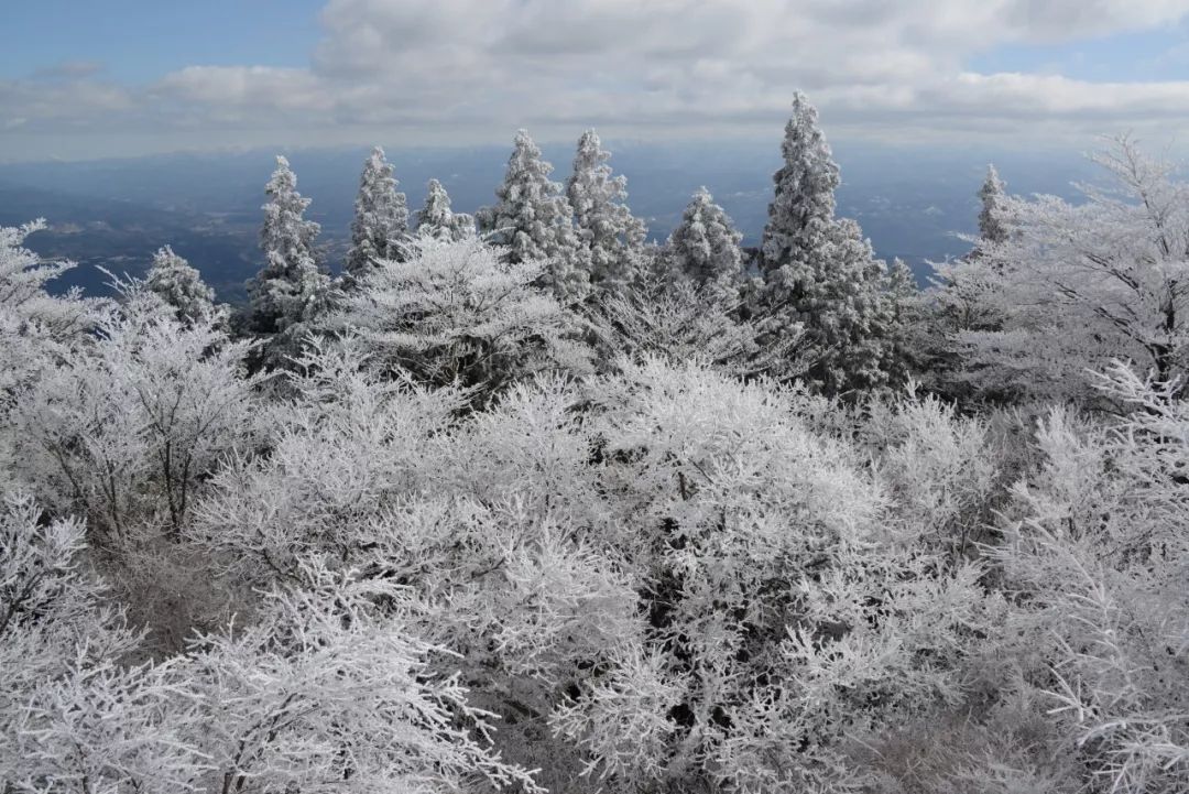 日本冬天最浪漫的絕色雪鄉，一下雪畫風就美翻了！ 旅遊 第30張