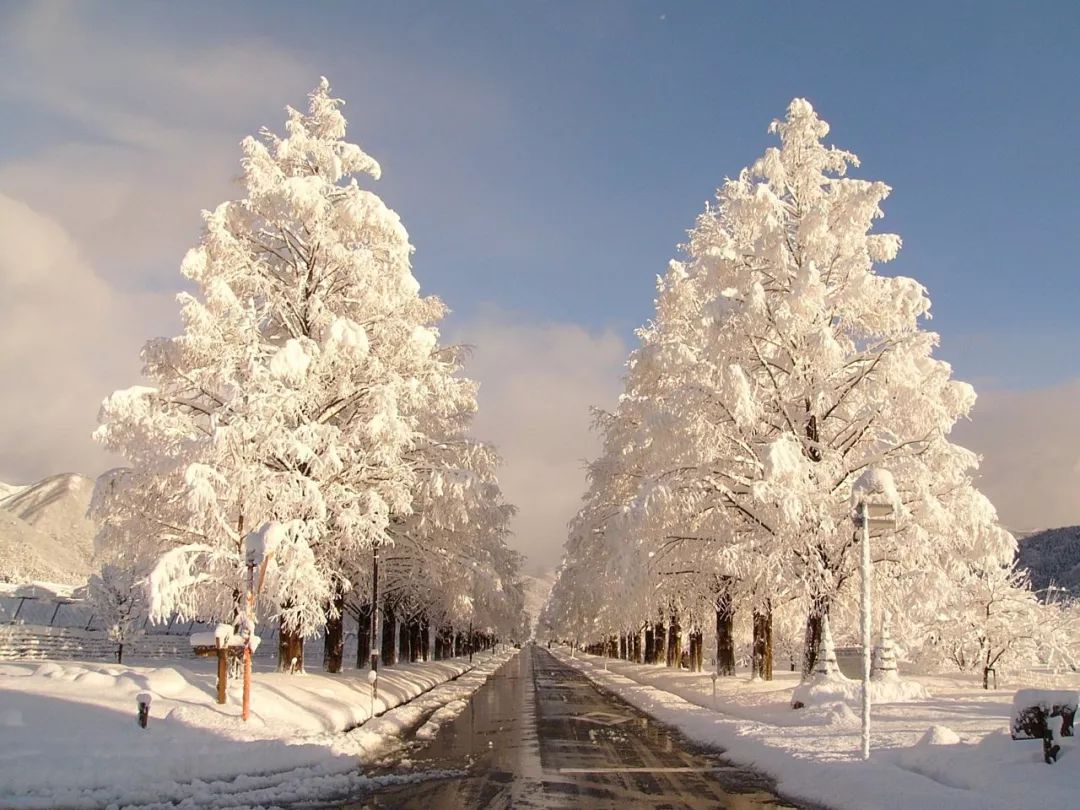 日本冬天最浪漫的絕色雪鄉，一下雪畫風就美翻了！ 旅遊 第24張