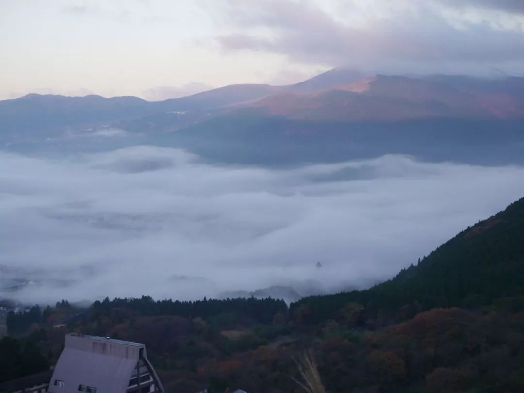 櫻花季除了去日本賞櫻，這些美炸的拍照聖地也值得打卡！ 旅遊 第18張