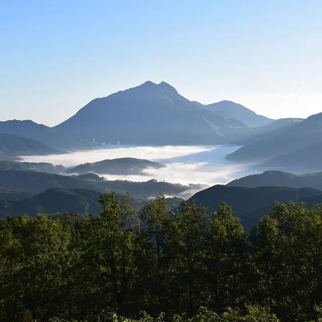 櫻花季除了去日本賞櫻，這些美炸的拍照聖地也值得打卡！ 旅遊 第19張