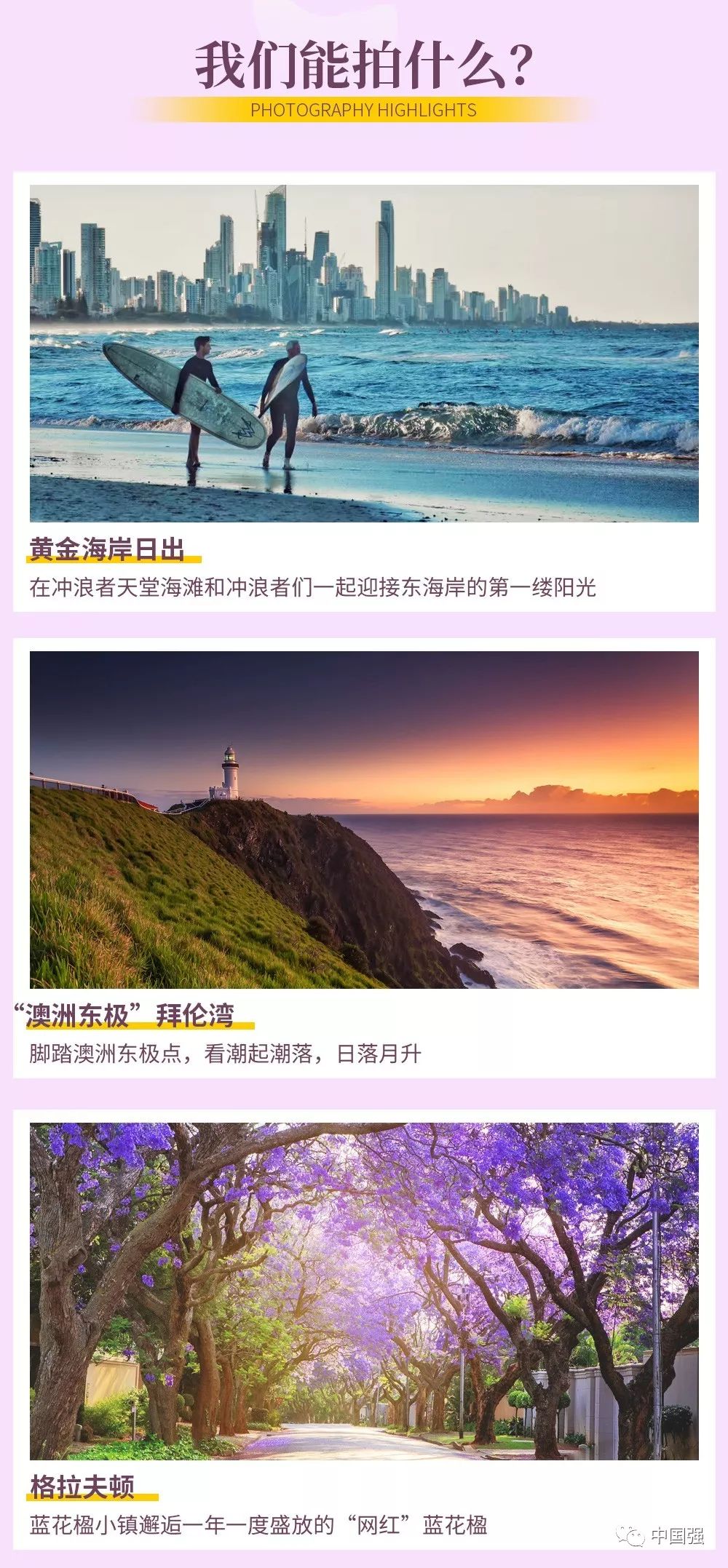 10月 澳大利亚蓝花楹寻澳之旅摄影团 13天 中国强 微信公众号文章阅读 Wemp