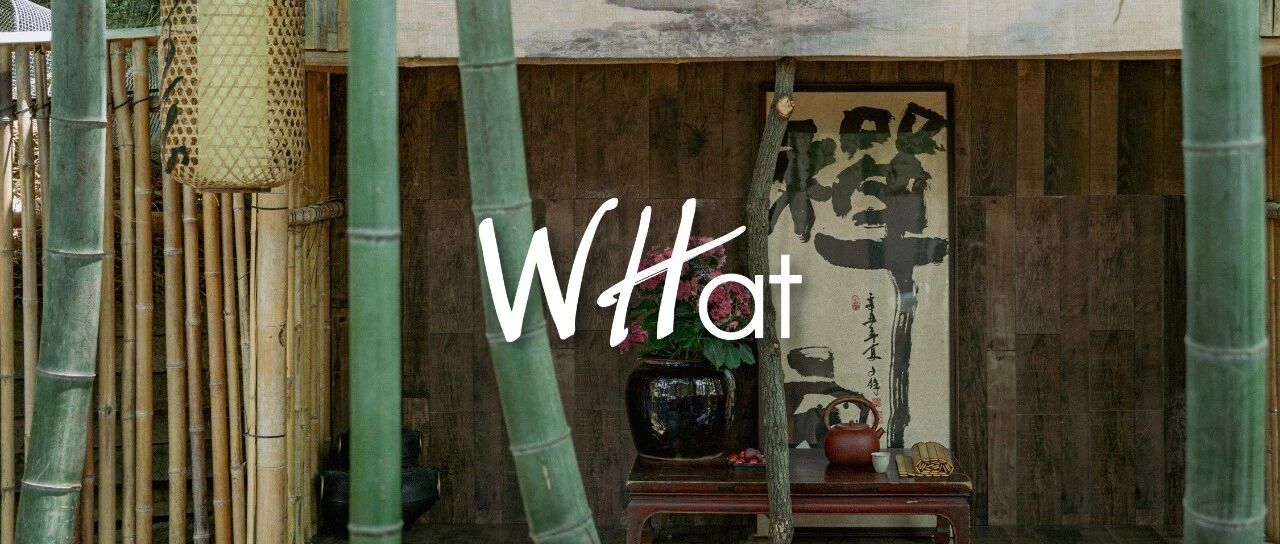 竹林放歌，茶隐人间，我找到了东湖边的避世角落