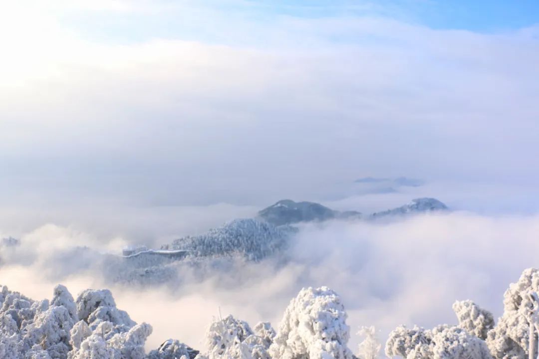 爬山梗嚇退遊客，中國各大名山：我還有機會嗎？ 旅遊 第45張