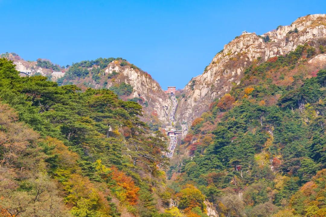 爬山梗嚇退遊客，中國各大名山：我還有機會嗎？ 旅遊 第8張