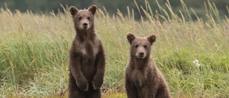 美国财政悬崖+美联储“尽力了”=全球股市暴跌