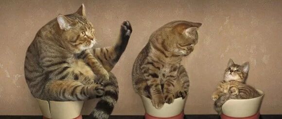 新势力不愿宁德独大