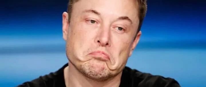 大空头和坑弟联袂出手，特斯拉2天跌去1.3万亿