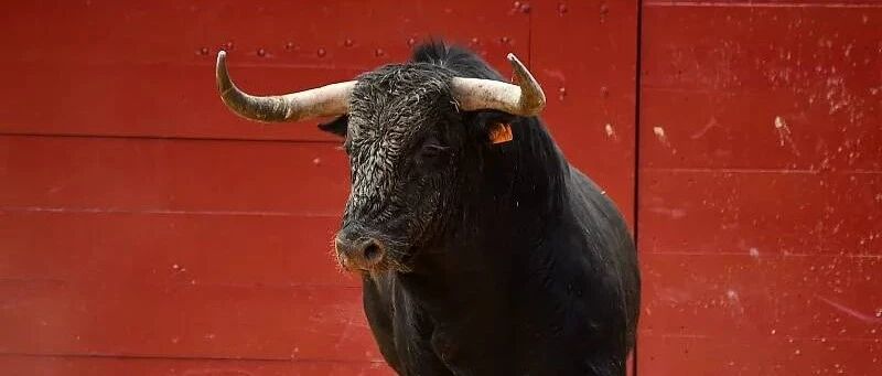 3332.88，涨疯了！这还只是预演？