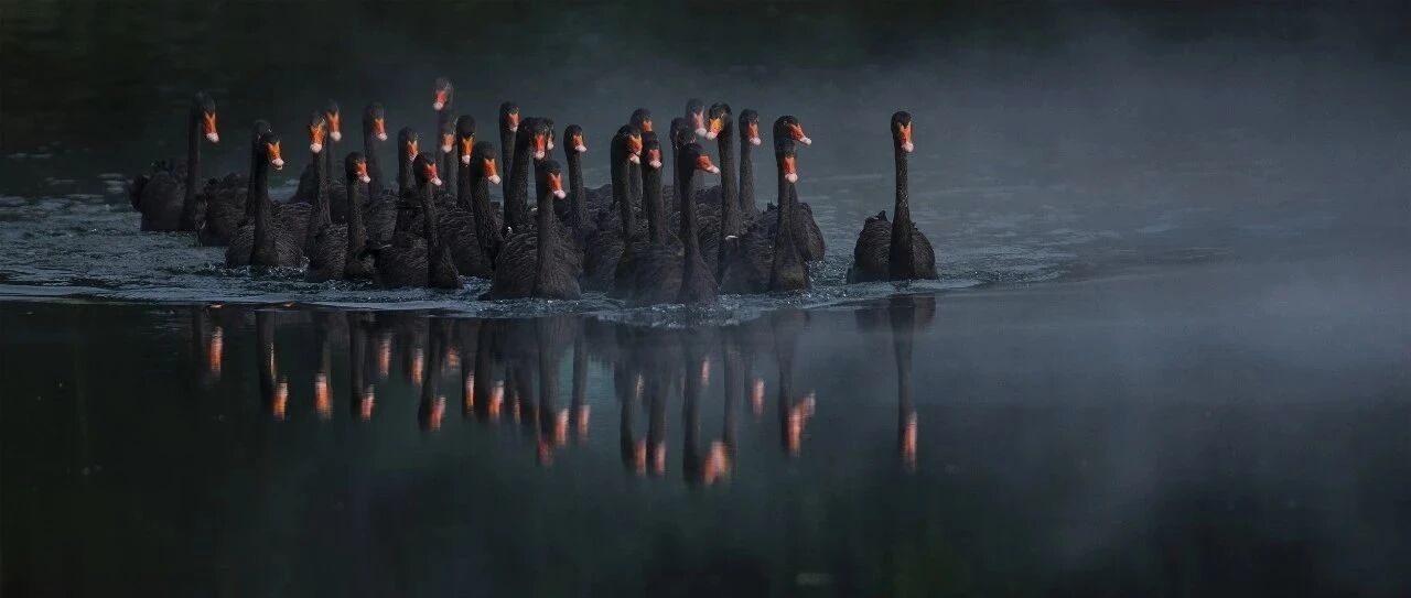 金融圈炸锅！700亿巨头贱卖资产，股价几个跌停？哪些基金踩雷？