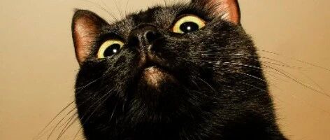 ​为什么全球市场如此害怕这份纪要？