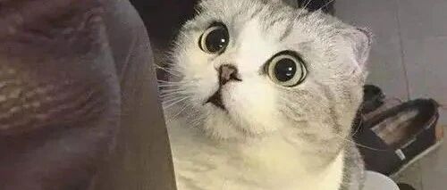 上市首日一度暴跌26%，350亿医药股破发！高瓴加持也不灵了？