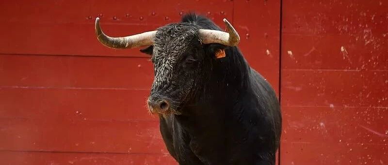 高开245%，市值近7000亿，“半导体第一股”比茅台更珍贵？