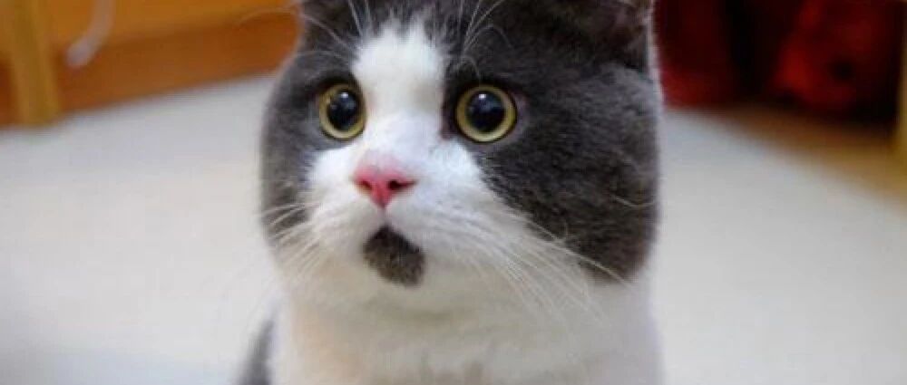 疯狂！11天10涨停，连续9日称霸龙虎榜，这只股引发监管关注