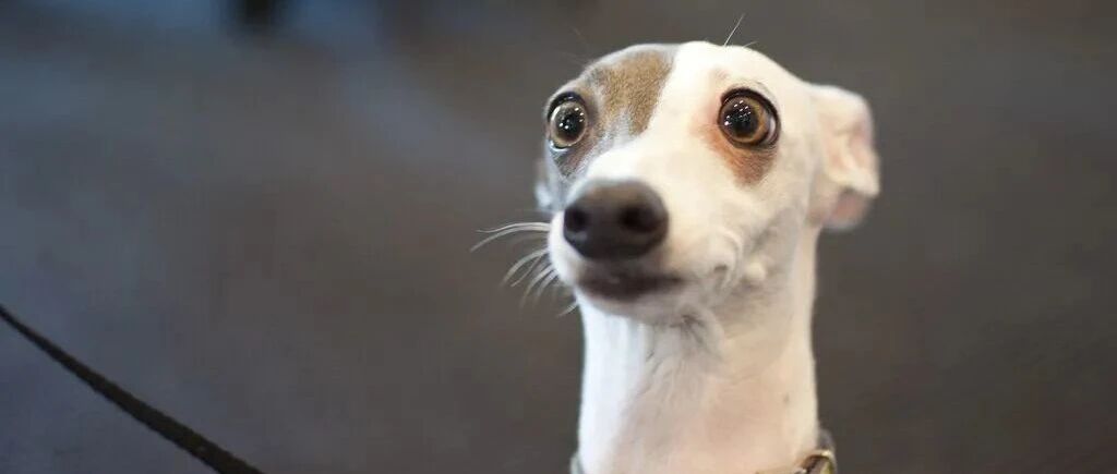 一度暴跌17%！A股大涨之际，这只500亿龙头闪崩，发生了什么？