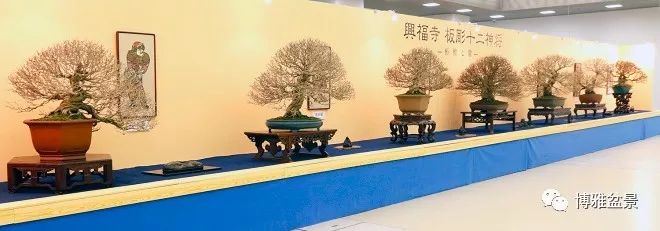 此次盆景展展出了盆景四天王和十二神将 自由微信 Freewechat