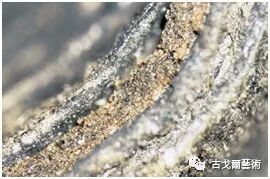 x光材质怎么调通过X光扫描日本正仓院唐代毛笔，发现惊天制笔秘密....._https://www.jmylbn.com_新闻资讯_第10张