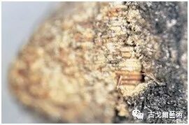 x光材质怎么调通过X光扫描日本正仓院唐代毛笔，发现惊天制笔秘密....._https://www.jmylbn.com_新闻资讯_第9张