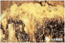 x光材质怎么调通过X光扫描日本正仓院唐代毛笔，发现惊天制笔秘密....._https://www.jmylbn.com_新闻资讯_第6张