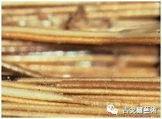 x光材质怎么调通过X光扫描日本正仓院唐代毛笔，发现惊天制笔秘密....._https://www.jmylbn.com_新闻资讯_第4张