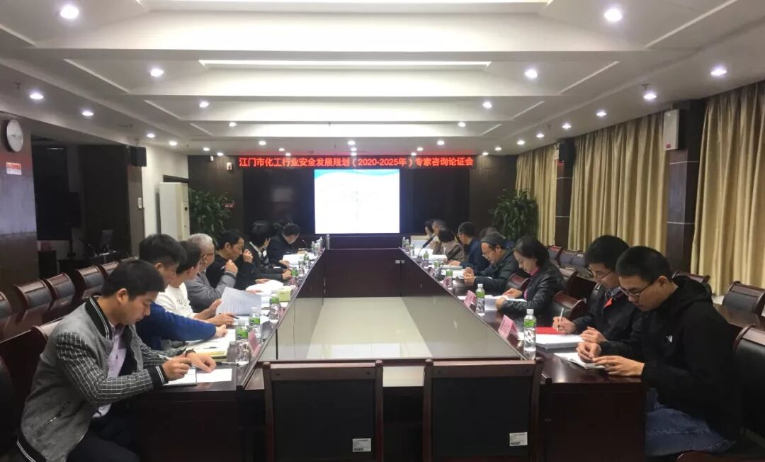 2025年）专家咨询论证会在市应急管理局举行