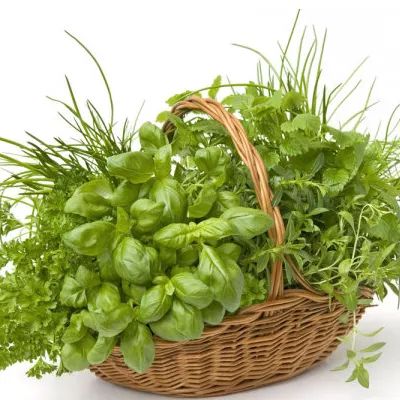 50种中药之最，最强药效，收藏好！