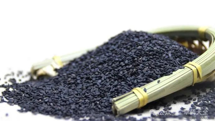 黑芝麻的功效与作用