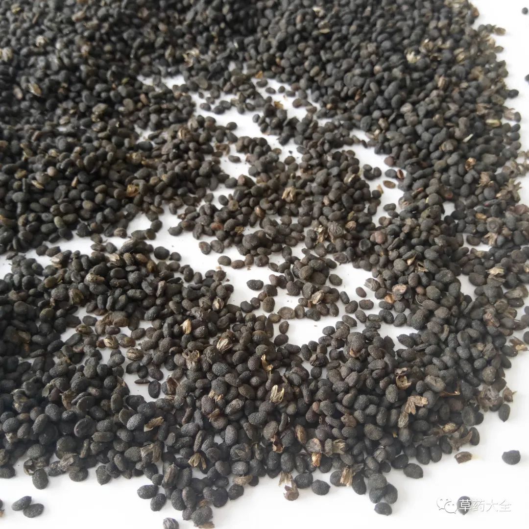 补骨脂的功效与作用