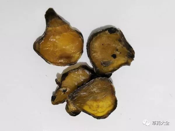 附子的功效与作用