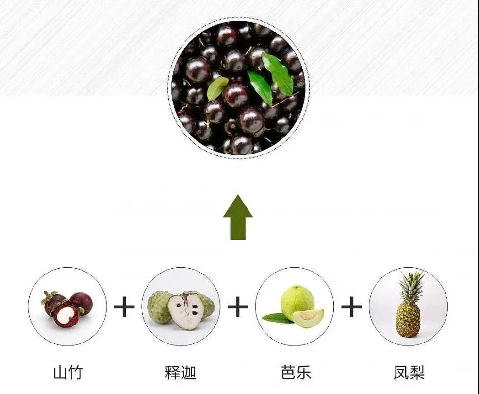 嘉宝果因其丰富的营养,产生不可比拟的价值.