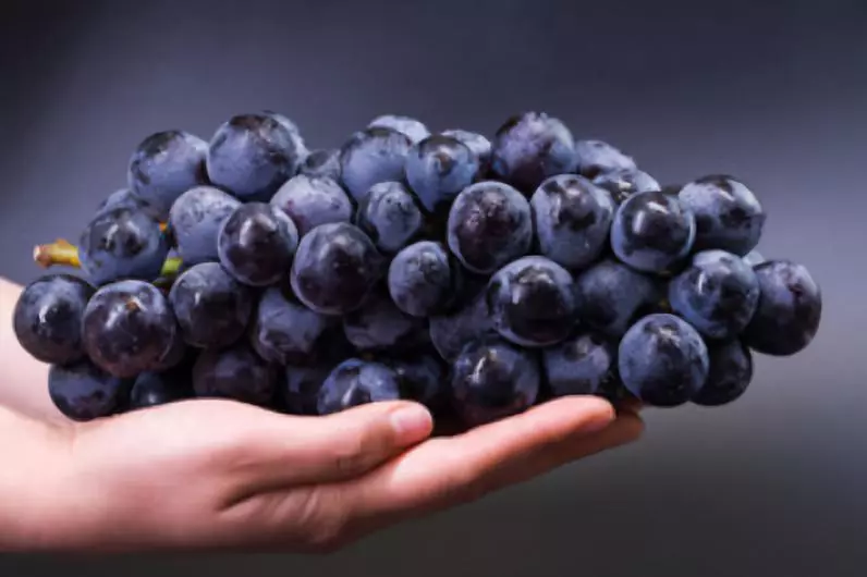 葡萄，秋冬季的维生素