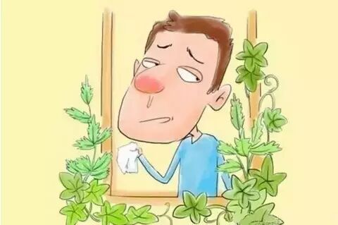 鼻炎当注意，早调理、防癌变