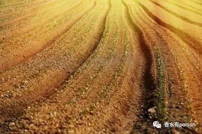 平方英尺和平方米的换算_平方米和公顷怎么换算_亩和平方公里的换算