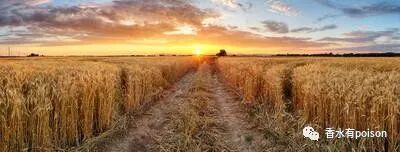 平方英尺和平方米的换算_平方米和公顷怎么换算_亩和平方公里的换算