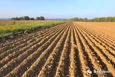 亩和平方公里的换算_平方英尺和平方米的换算_平方米和公顷怎么换算