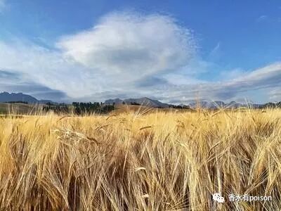 平方米和公顷怎么换算 一亩有多少平方米，农民都是怎么算的？许多人都不知道的换算方法