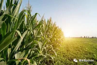 平方英尺和平方米的换算_亩和平方公里的换算_平方米和公顷怎么换算