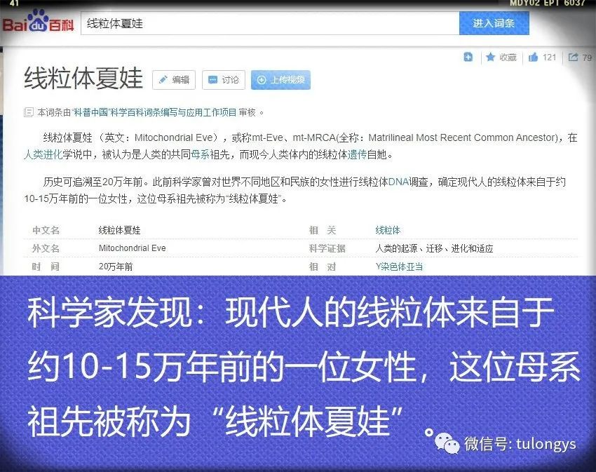 古人后代的现代人,科学揭秘：现代人，是古代穷人后代？还是富人的后代？