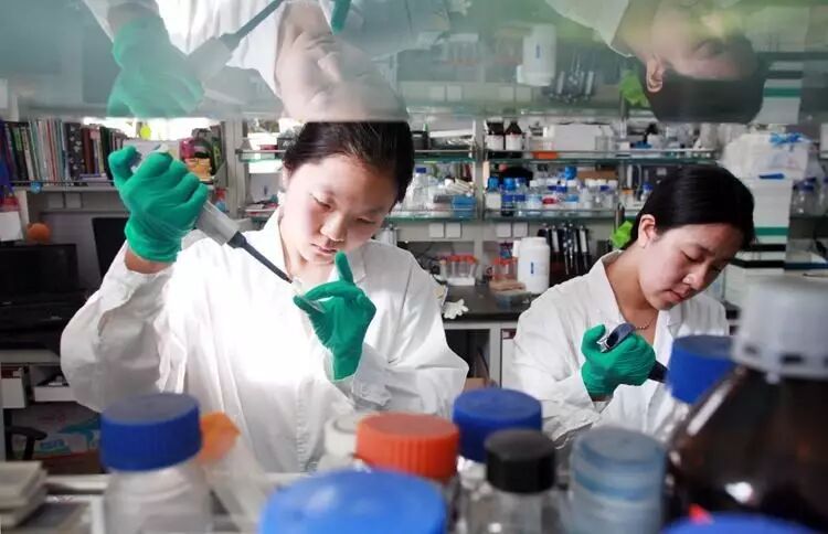 誰殺死了中國博士