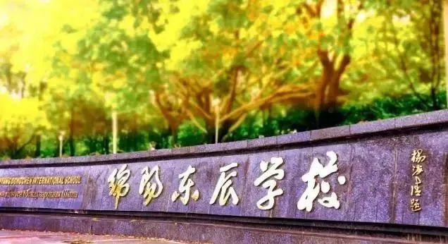 綿陽國際學校排名_2023年綿陽東辰國際學校錄取分數線_綿陽國際高中