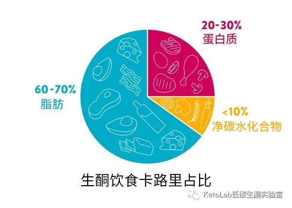 什么是生酮？什么是生酮状态？关于生酮饮食，你想知道的都在这里——生酮饮食入门50问（第一篇）