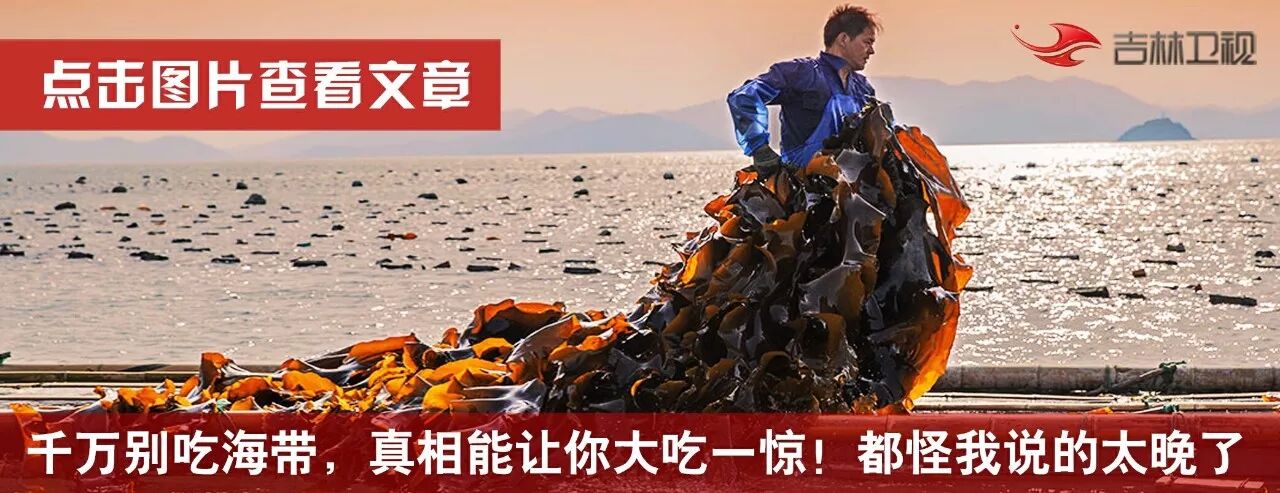 你们怎么看?妻子怀孕,丈夫竟要求小区所有业主不准养宠物