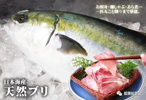 纽约 Ginza Onodera斩获築地405kg鲔鱼王 一场顶级食材的狂欢 自由微信 Freewechat