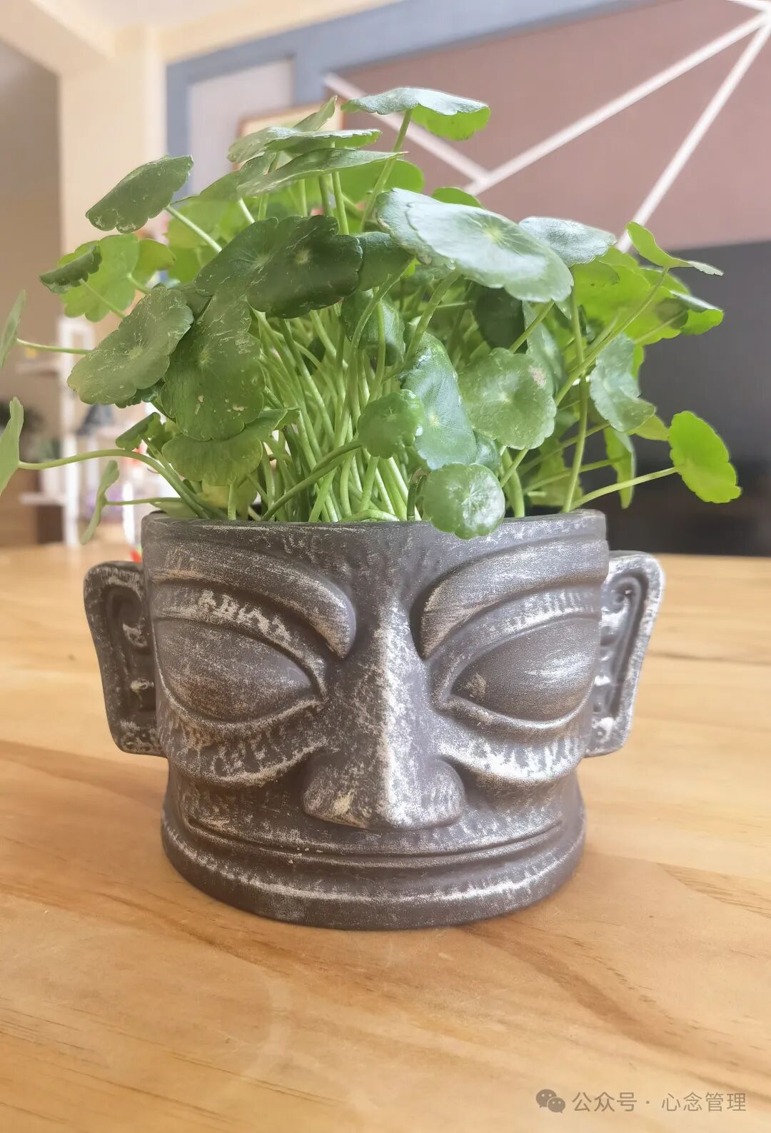 三星堆盆栽绿植