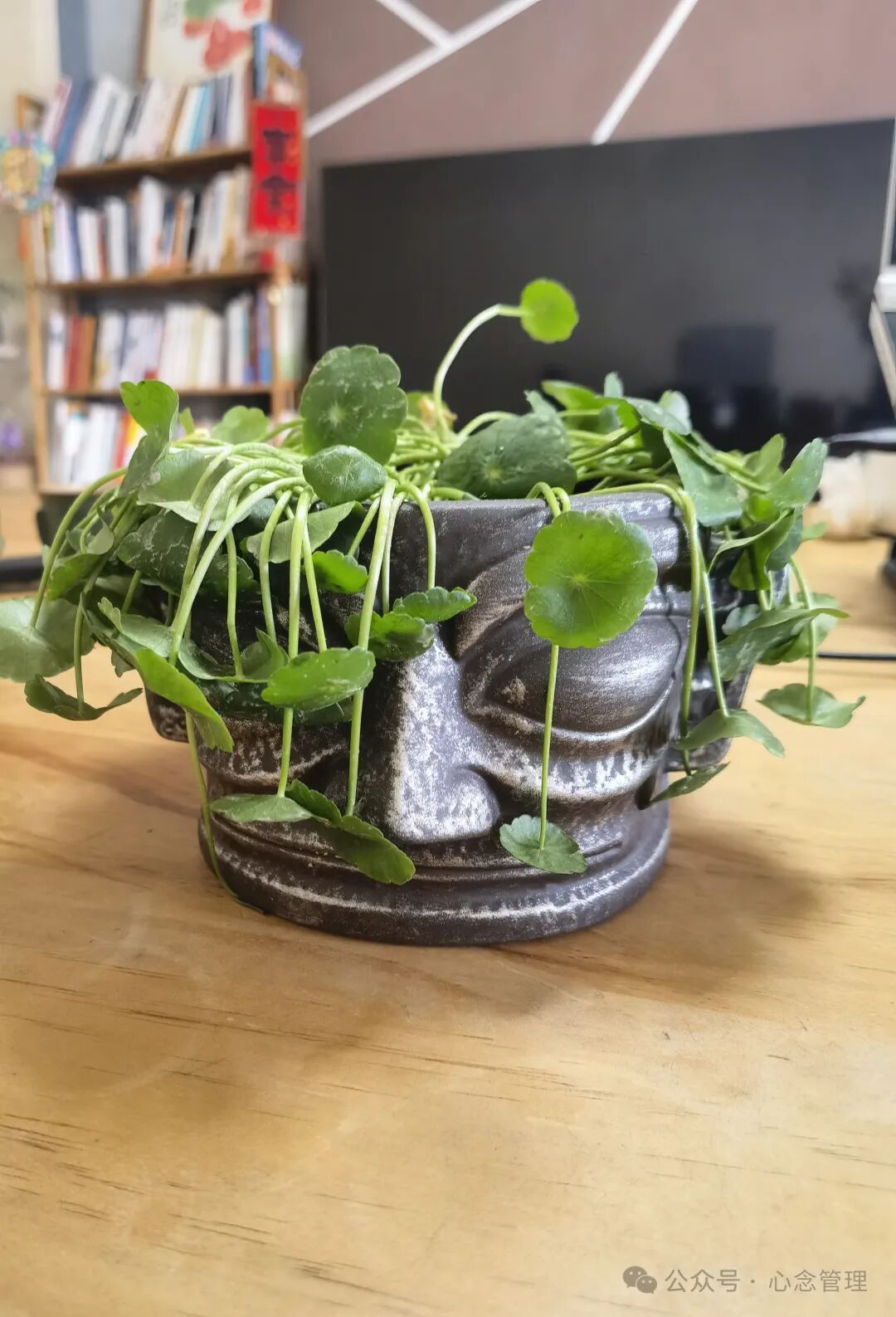 三星堆盆栽绿植