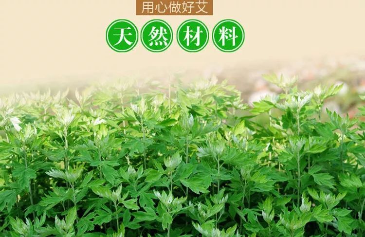 頭痛頭暈失眠好生煩惱！有了這頂艾灸熱敷帽從此告別「暈乎乎」的人生！ 健康 第10張