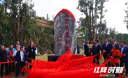 黑茶红了，安化千年味道世界共享！安化黑茶的岁月味道，历久弥香